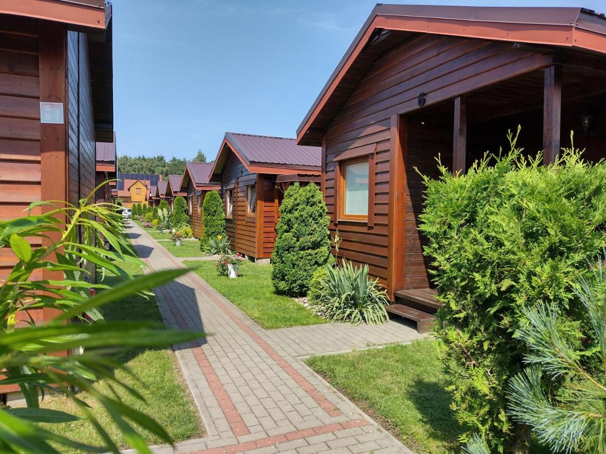 Zielony Gaj Вице Экстерьер фото